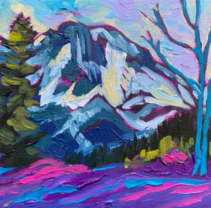 “Ghostrider Mountain” Fernie, B.C.