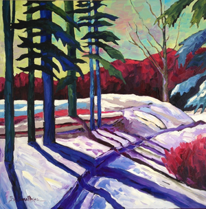 “Shadows of Tremblant” Collection 2